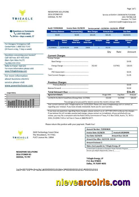 USA Texas TriEagle business utility bills
